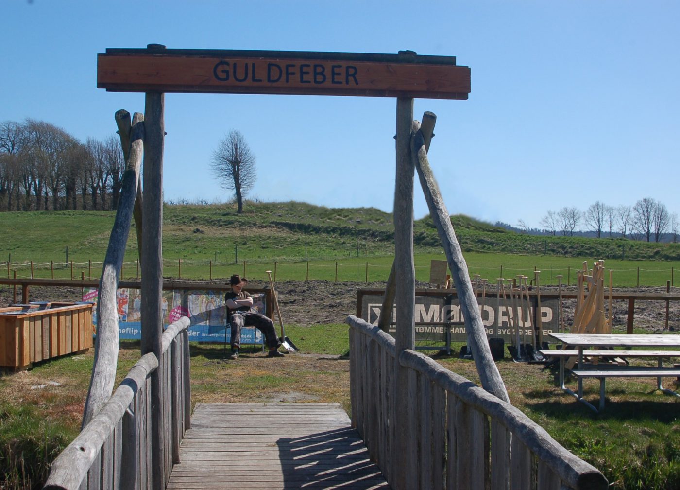 guldfeber1 copy
